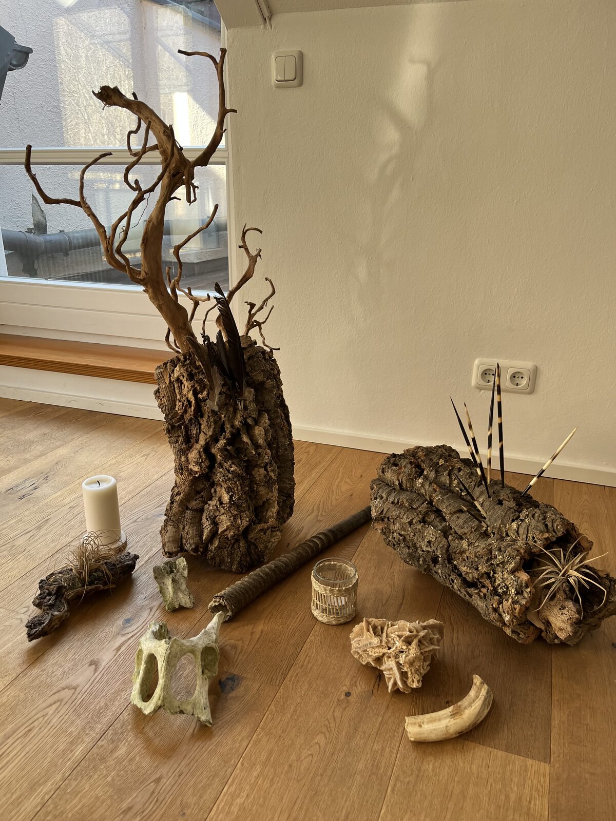 Detailaufnahme von Naturobjekten aus Holz und Kork auf dem Eichenboden des Raumes